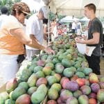 article image -
